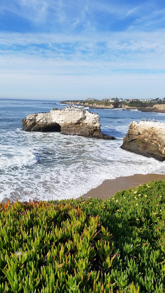 Santa Cruz Rocks Santa Cruz pelican rock | Katie | Flickr