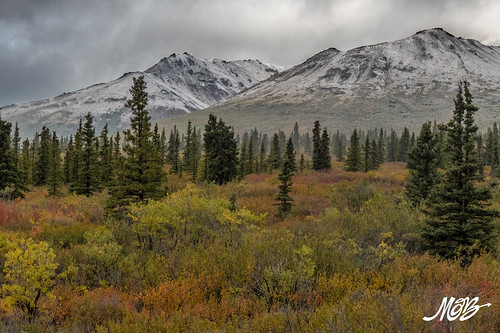 Denali NP, Alaska