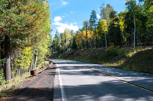 autumn arizona fall forest outdoors fallcolor unitedstates fallfoliage flagstaff sanfranciscopeaks aspen coconinonationalforest forestservice sanfranciscomountain usfs snowbowlroad flagstaffrangerdistrict