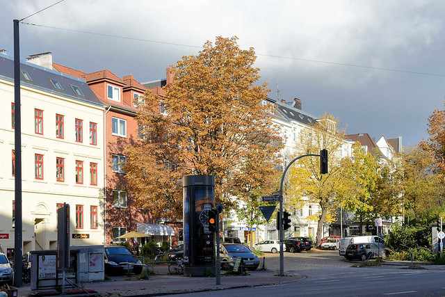 6773 Strasseneinmündung vom Grasweg in die Barmbeker Strasse in Hamburg Winterhude - Herbstbäume, Strassenbäume im Herbst.