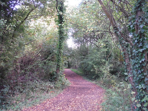 Path in Willow Park Nature Reserve SWC Walk 114 Laindon Circular
