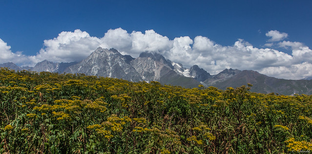 Georgië, view on the Kaukasus. (Svaneti wandeling 1)