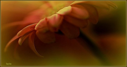 Curves - Curve - Curvas | by I am Tony fotos