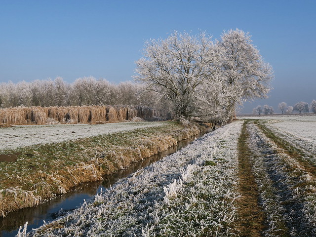 Neujahrstag im Isental - White frost an New Year's Day