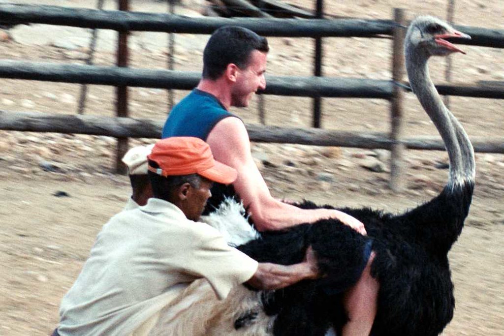 Oudtshoorn Ostrich Farm I'm riding an ostrich Flickr