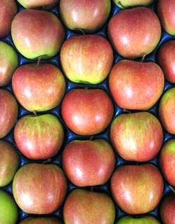 Apples | by Ian Kershaw