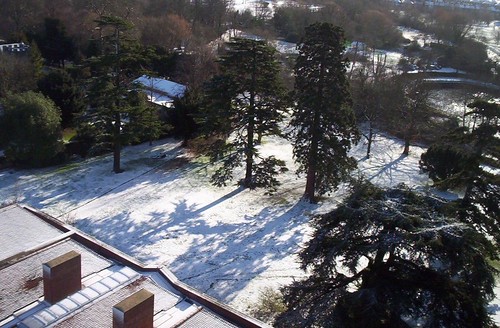 Winter in Stoneham grounds