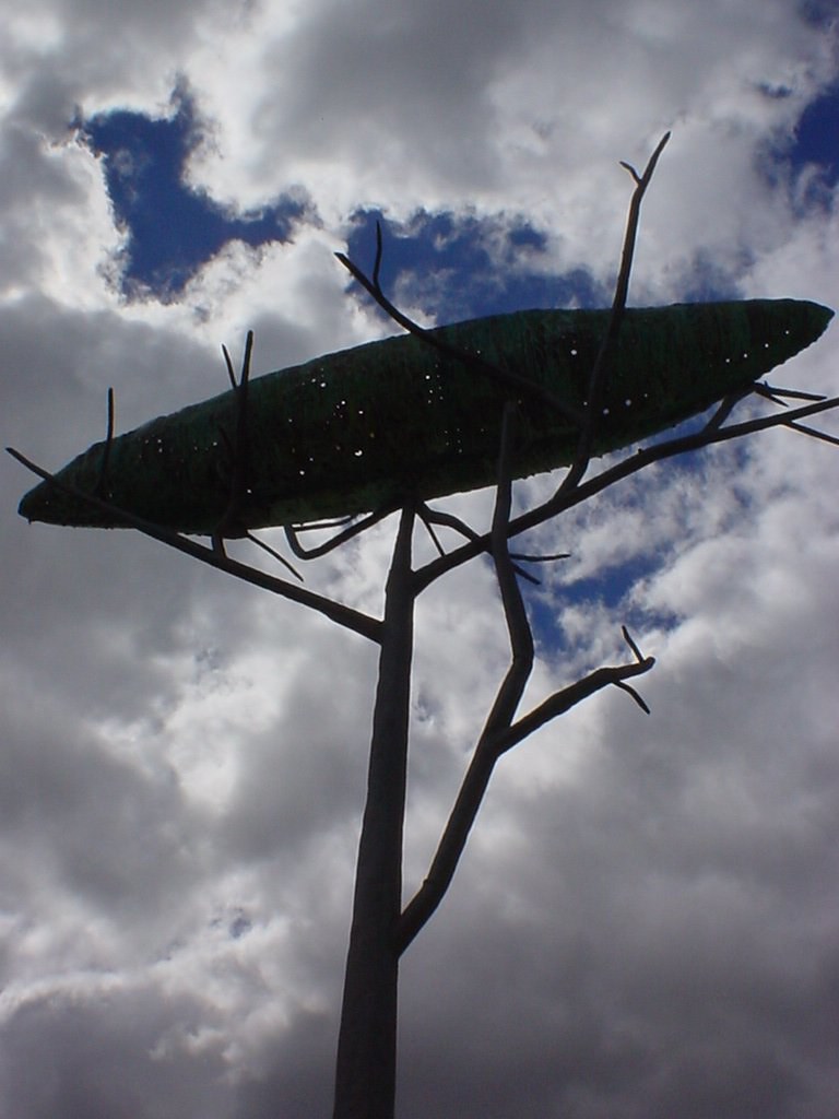 Coolamon In The Sky