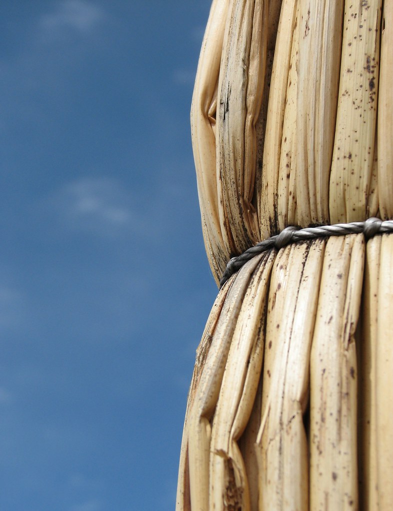 Blue Bundle | Totora reed detail on the Floating Islands of … | Flickr