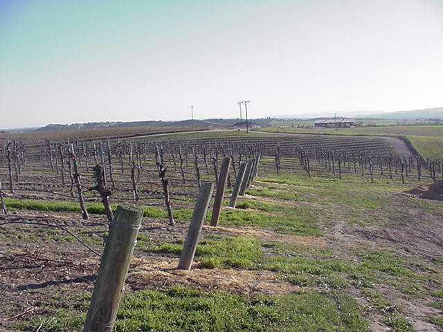 WineTour2003_076