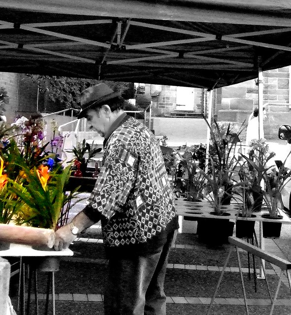 the orchid stall @ Wollongong Produce Market