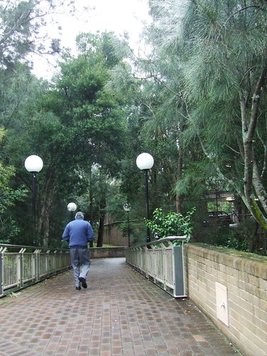 A view of the path between Uni and bus stop