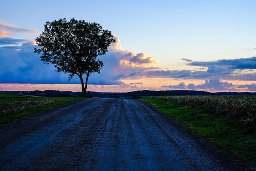 road sunset sky tree clouds photography se skåne sweden uncropped f40 2015 fav10 skånelän anderslöv xe2 xf35mmf14r ¹⁄₅₅₀sek trelleborgö 2020092015185656
