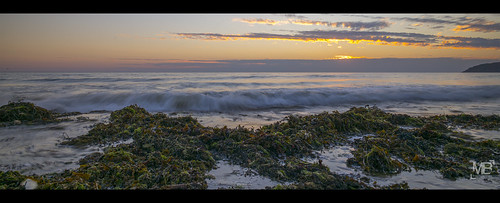 longexposure sunset mer france beach vagues plage coucherdesoleil algues lespieux télémètre capdeflamanville superelmarm21mmf34asph leicamtype240