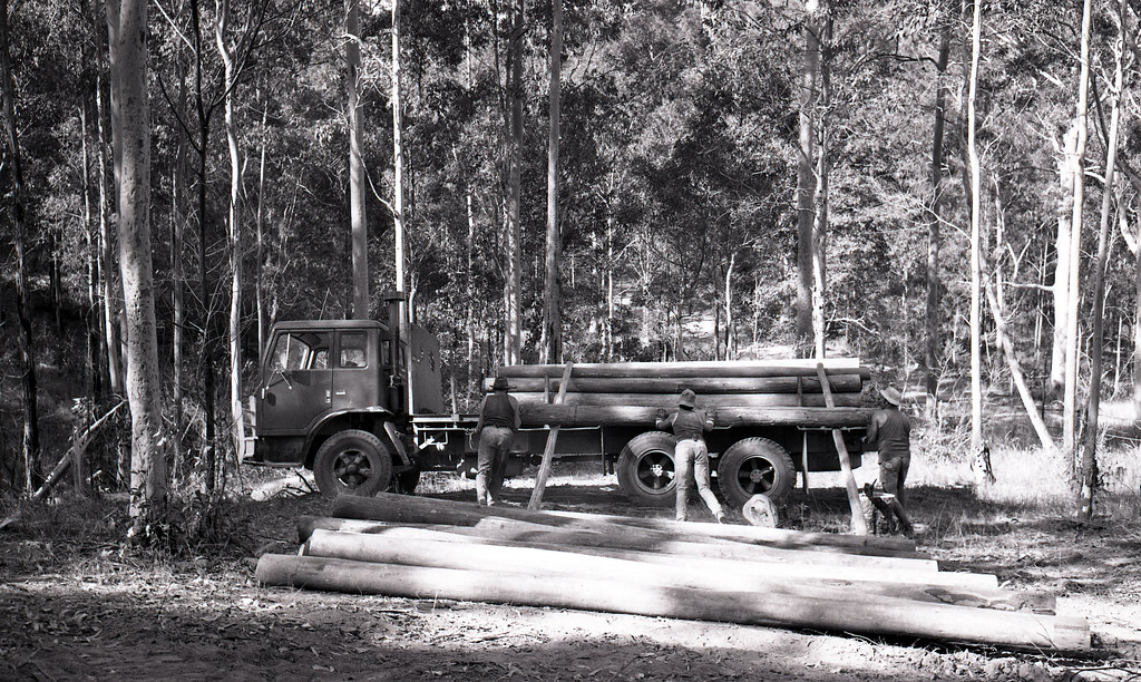 L to R. Bob Lockett, Neal Lockett and Bob Grey loading baulks on truck - R.H. Crockett, Minmi - at Stockrington, NSW, 16 April 1980