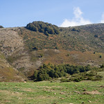 Picture of the hike