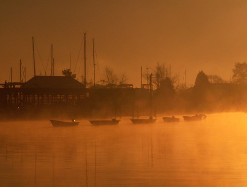 morning sun fog boats harbour maryland filter boatyard solomons konicaminoltadimagez6 mysunglasses digitography