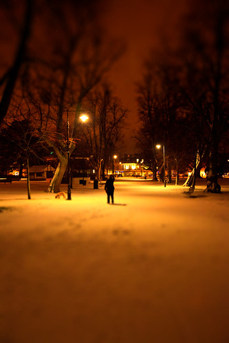 Snow Tilt and Shift | by LMD1974