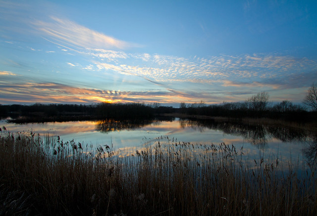 Sunset, Westhay Nature Reserve, Somerset