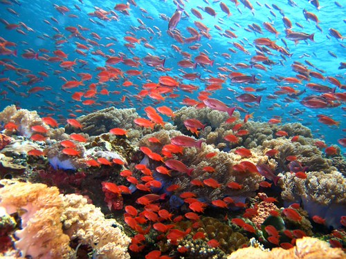 Dumaguete