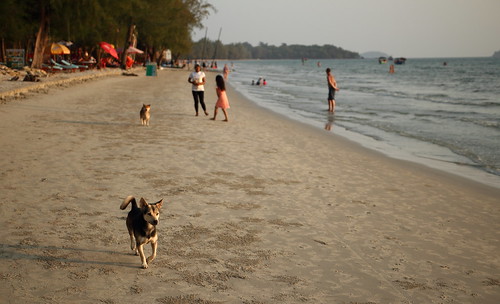 ocean sea people dog canon cambodge cambodia sihanoukville south t3i 600d otresbeach gsamie guillaumesamie