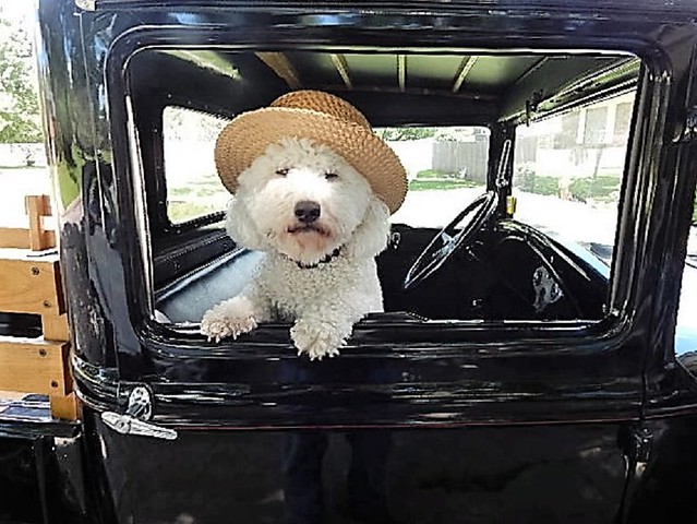 Sailor in the Model A pickup