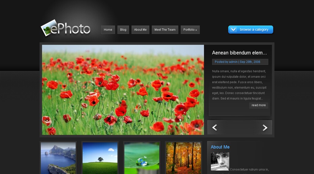 ePhoto Wordpress Theme | Report Nbatioco | Flickr