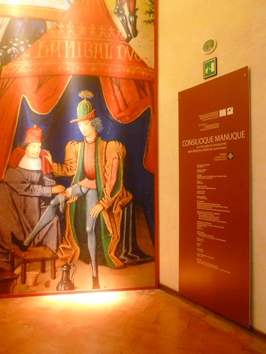 Manuque MOSTRA: Consilioque manuque. La Chirurgia nei manoscritti della ...