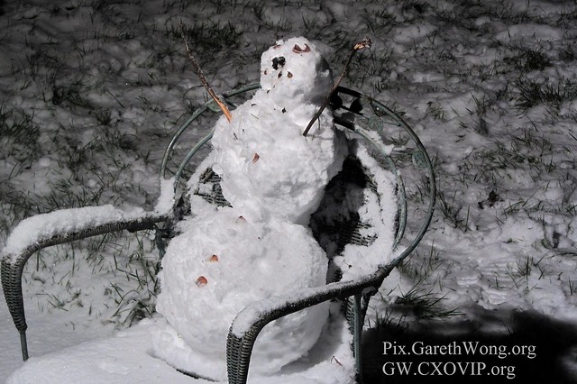 Big overnight snow, hence 'snowman' time! IMG_2229