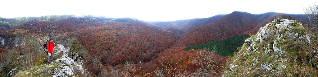02650 055a062 Aizkorri. La cima del Arriona ofrece una de las mejores imágenes de bosques de hayas en otoño. Vista SUR hacia el bosque Urkilla