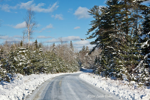 road trees winter sky white snow canada cold clouds forest landscape frozen woods day novascotia cloudy snowy country freezing sunny wellington grandlake getty winding slippery wooded kingsroad gettyimagescanada