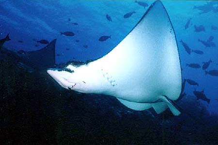 sudan3