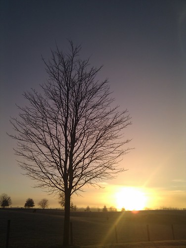 flickrandroidapp:filter=none blacksburg virginia usa sunrise trees htcdesire phonecam project365 sooc 3652012 view500