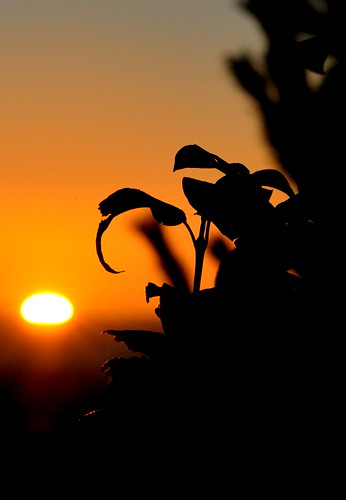 Curve of the Sun by Kayla~Jean Photography, One of my all time favorite shots, I don't know why, but I loved the lighting, the texture of the le