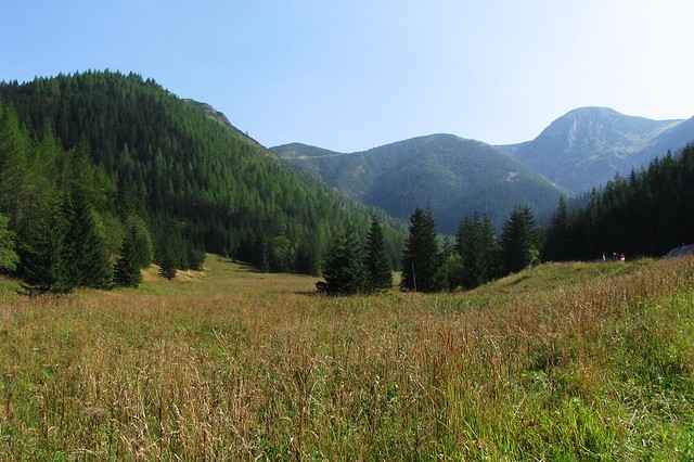 meadow in the valley