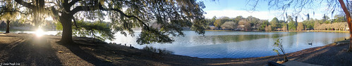panorama lake landscape florida peaceful lakeella tallahasse powershotsd960is canonpowershotsd960is bbng