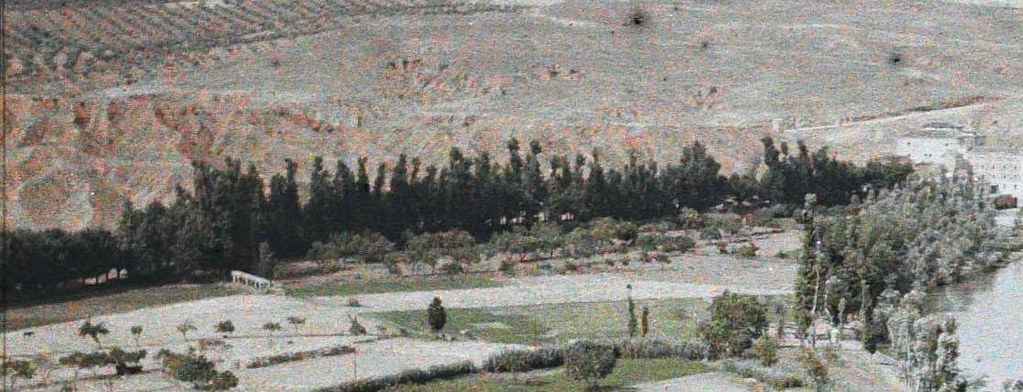 Camino arbolado que marcaba el antiguo margen del río antes de desecar la Isla de Antolinez. Fotografía autocroma de Auguste Léon en 1914 (detalle)