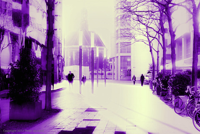 Purple Hague