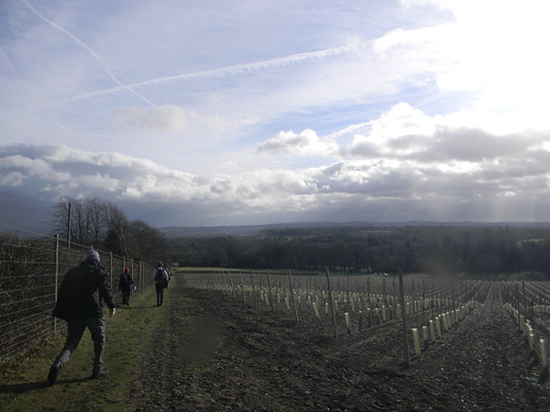 Vineyard view Wanborough to Godalming