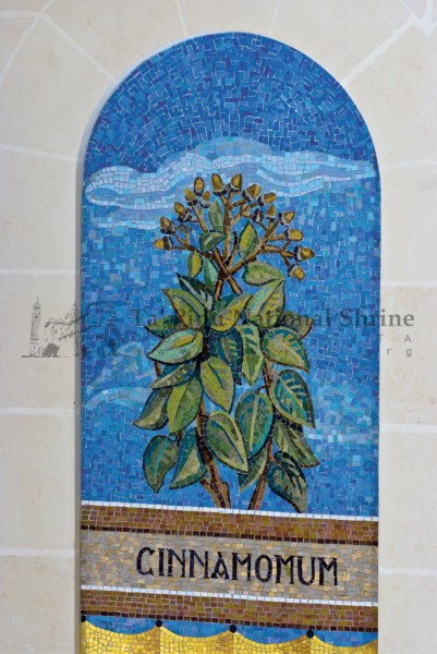 TPNS-mosaics00080 - Ta' Pinu mosaics