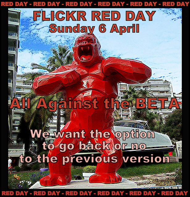 FLICKR RED DAY