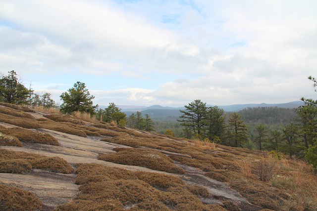 Cedar Rock Trail, DuPont State Forest, North Carolina