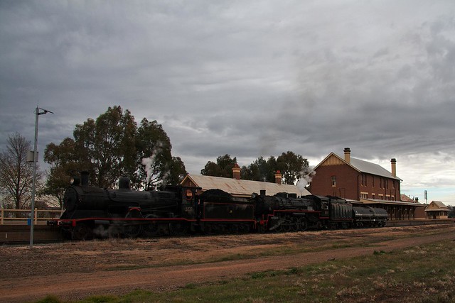 3237 and 5917 at Cootamundra West