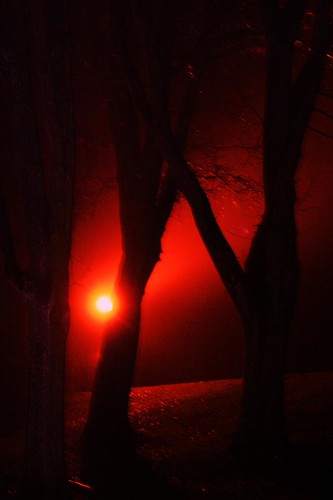 Look at the TREES... | by Integrity69 (busy for a while .....)