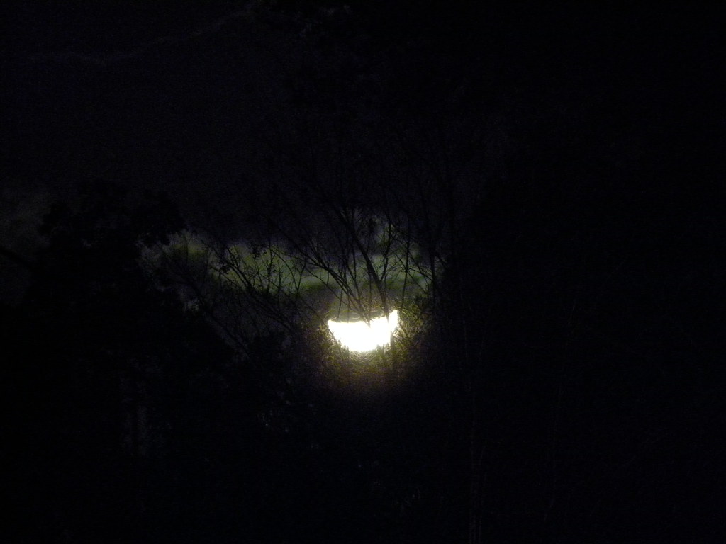 Low Moon Low Moon On The Horizon | Looking outside tonight, I was ama… | Flickr
