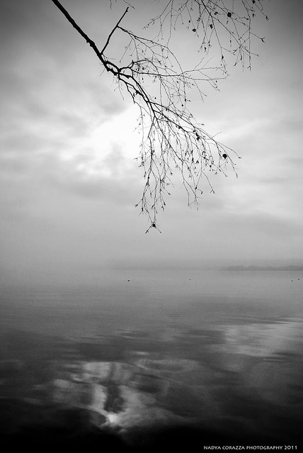 Misty lake - Explored 9 January 2012