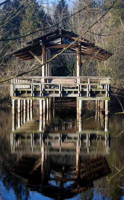 REFLECTIONS OF THE PIER IN FISHTRAP CREEK,  ABBOTSFORD,  BC.