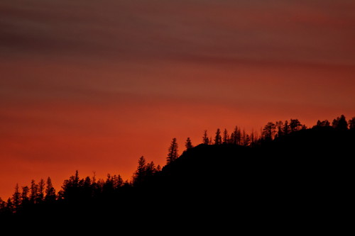 Sunset Silhouette 15 by LongInt57, pink trees sunset sky orange cloud mountain black mountains tree silhouette clouds forest landscape
