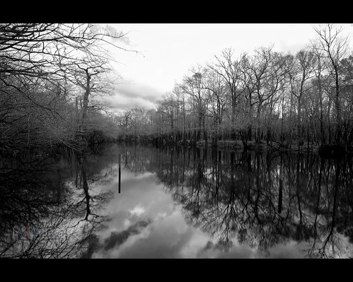 trees winter sky bw usa reflection sc water clouds river landscape pond conway southcarolina waccamaw ndx1000 nikonafsnikkor1635mmf4gedvr