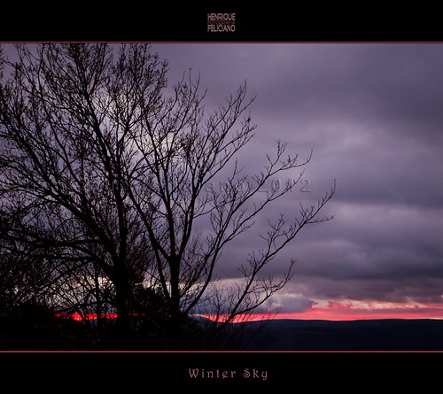 winter sunset sky tree nuvens arvores inverno ceu